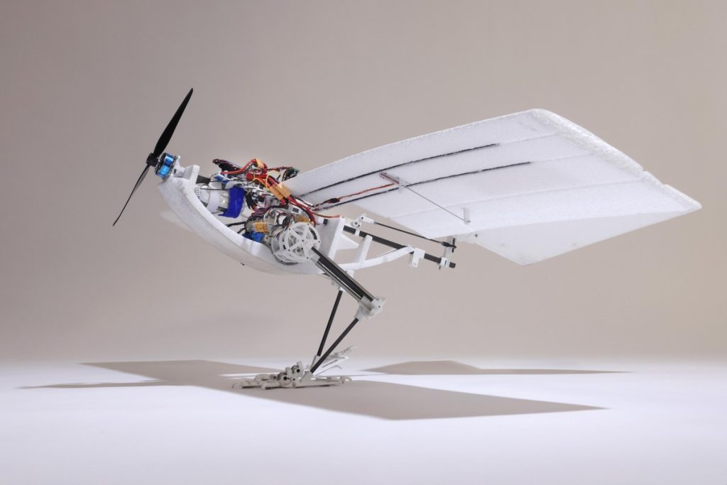 Bird-like drone elimiates need for a runway